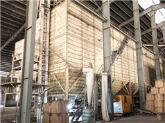 Long An: Nâng cao chất lượng lúa bằng công nghệ bảo quản lạnh và thông khí